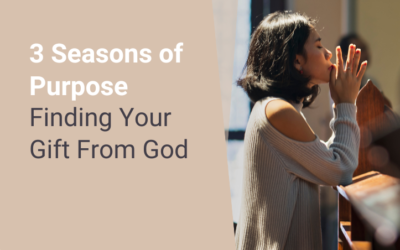 3 Seasons of Purpose